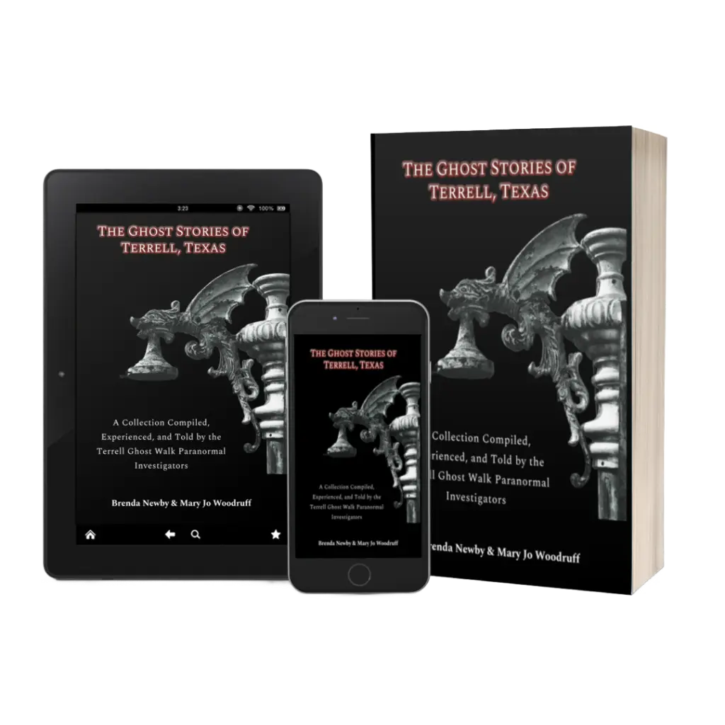 book paperback ebook display.webp