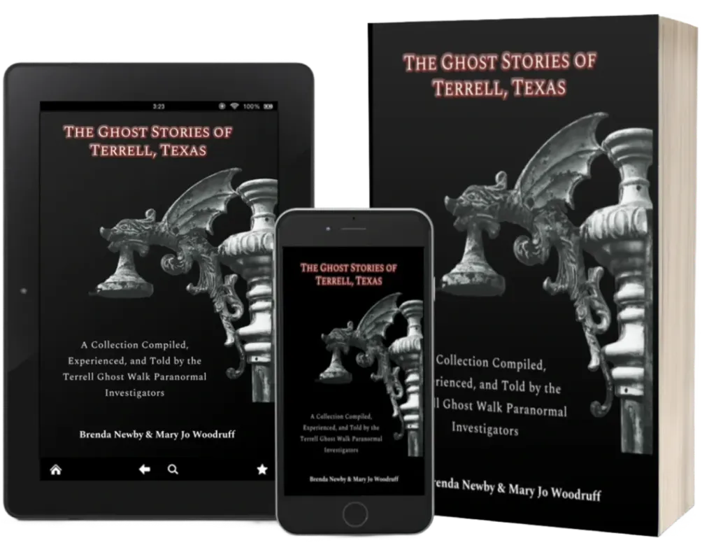 book%20paperback%20ebook%20display.webp