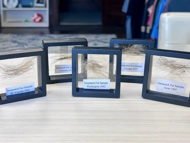 Sasquatch Hair Tuft:  Alleged Artifacts from the Unexplained